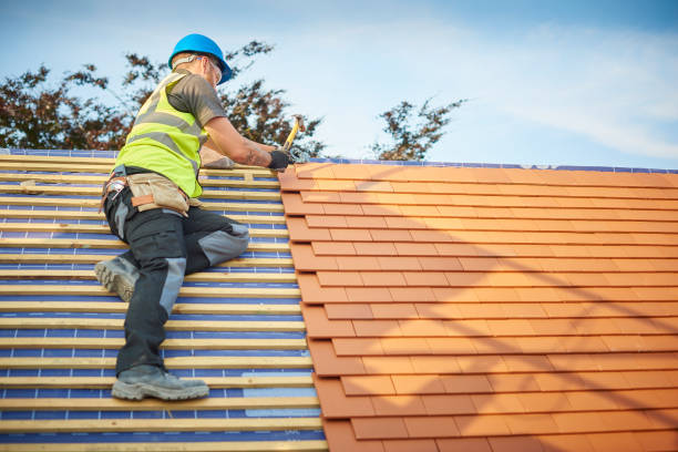 Best Roof Maintenance and Cleaning  in Oakridge, OR